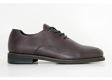 TS ARMS Classic _ Burgundy